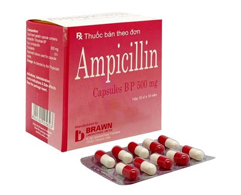 công dụng của thuốc ampicillin
